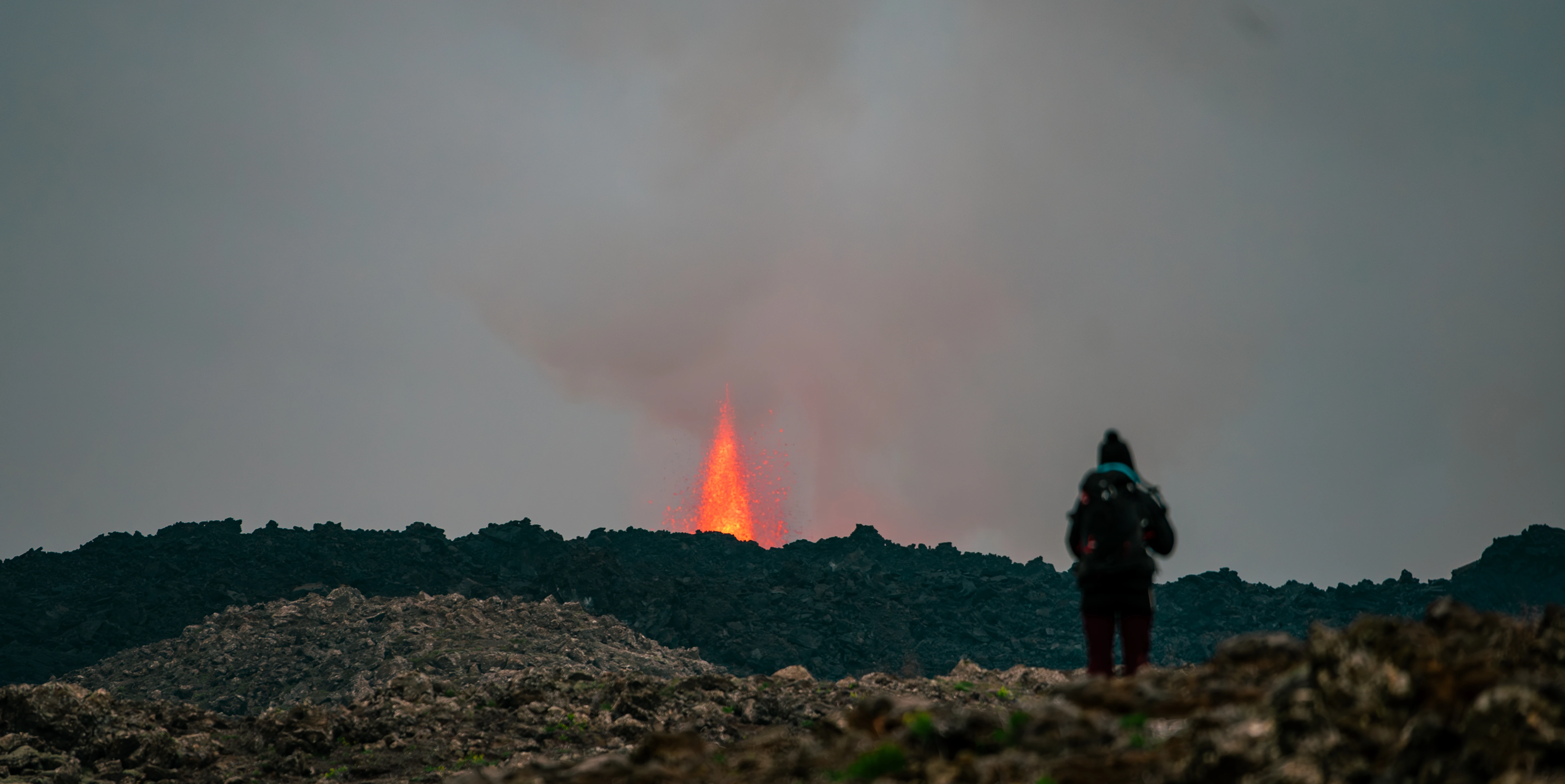 Fine art collection portfolio